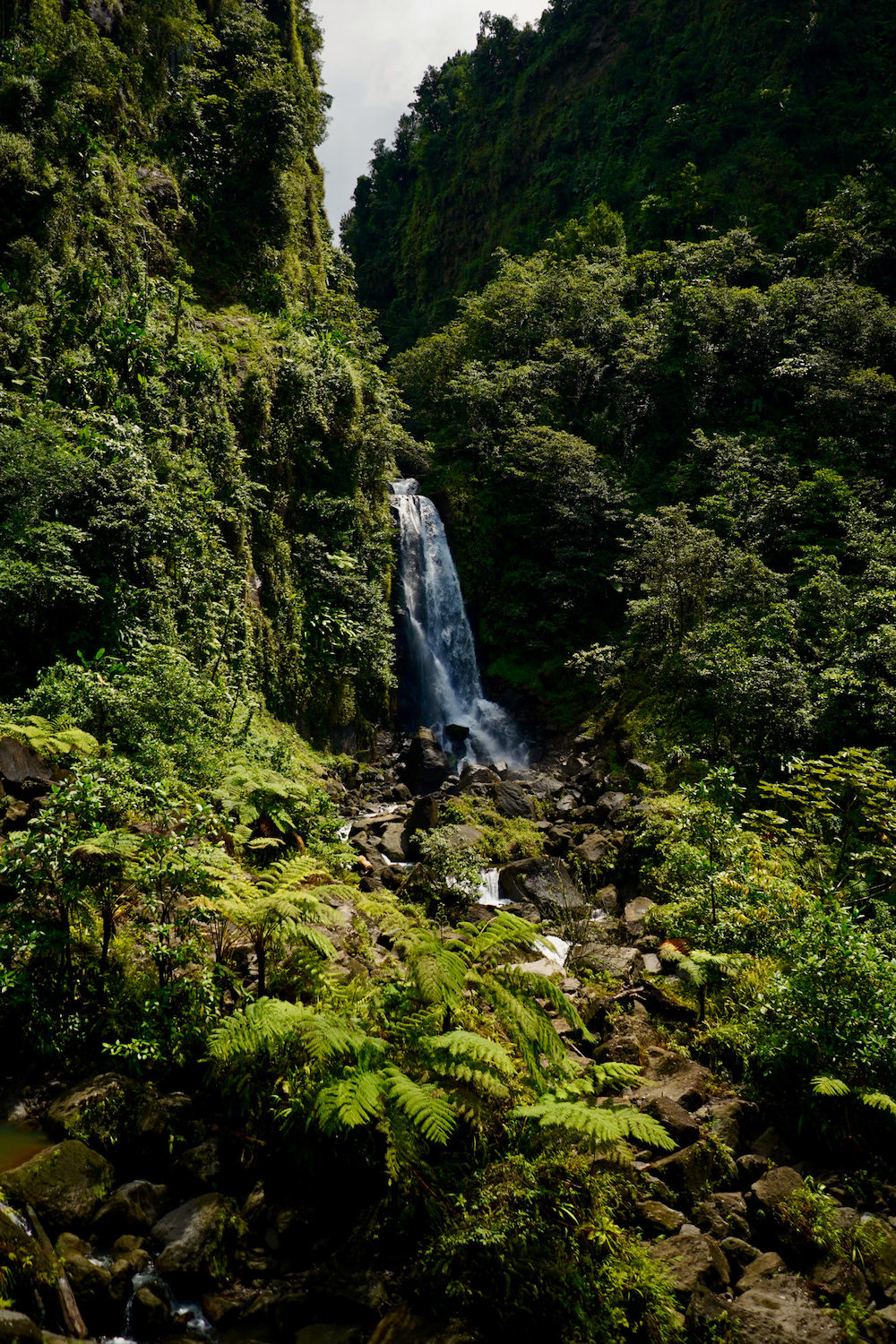 dominica vakantie watervallen