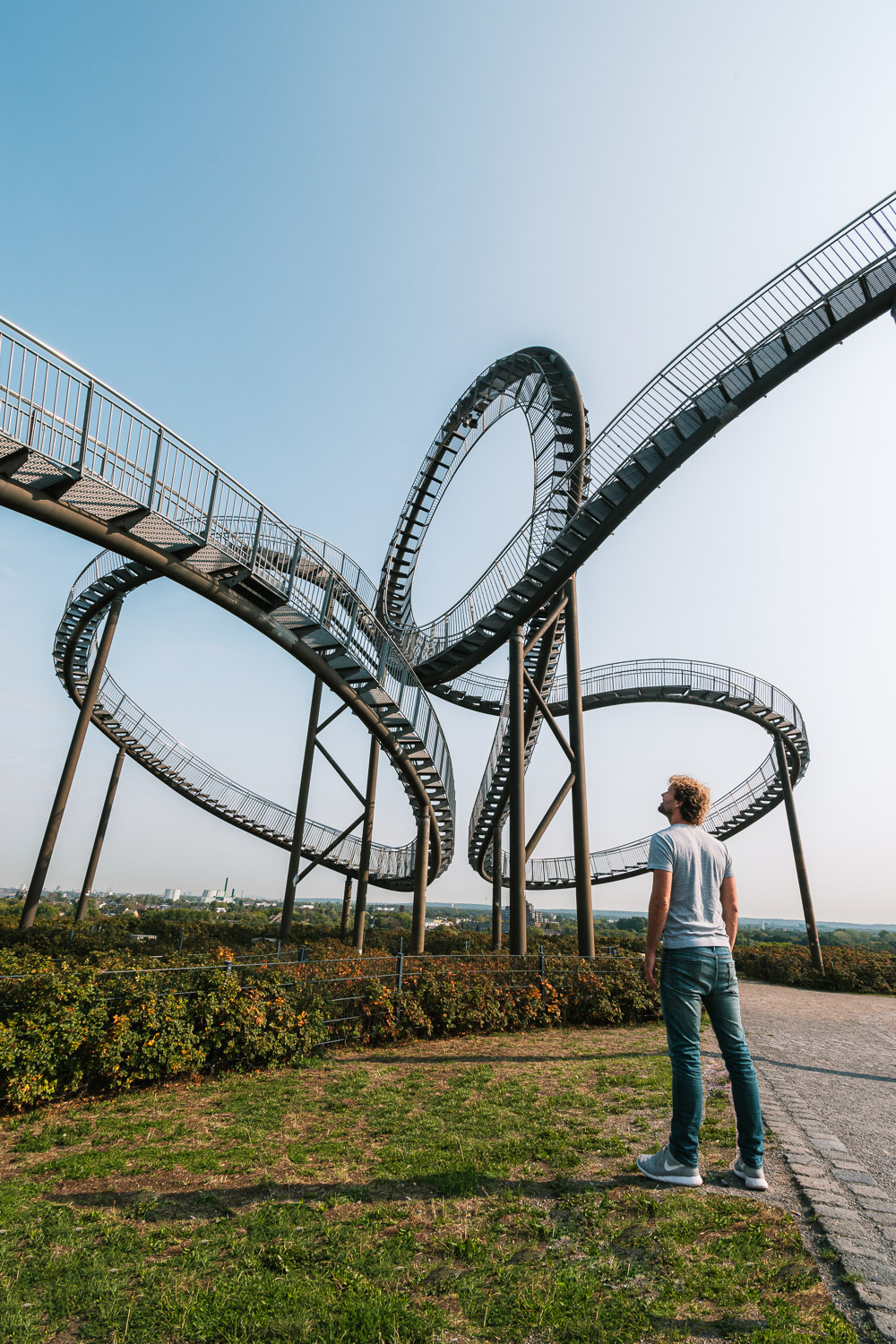 duisburg tiger turtle