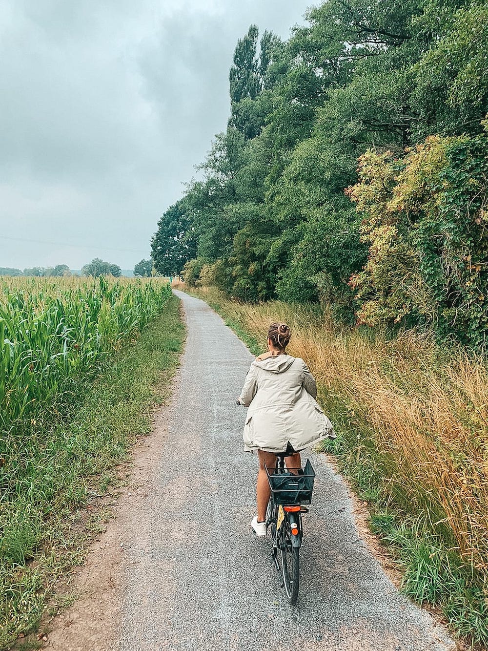 fietsen munsterland