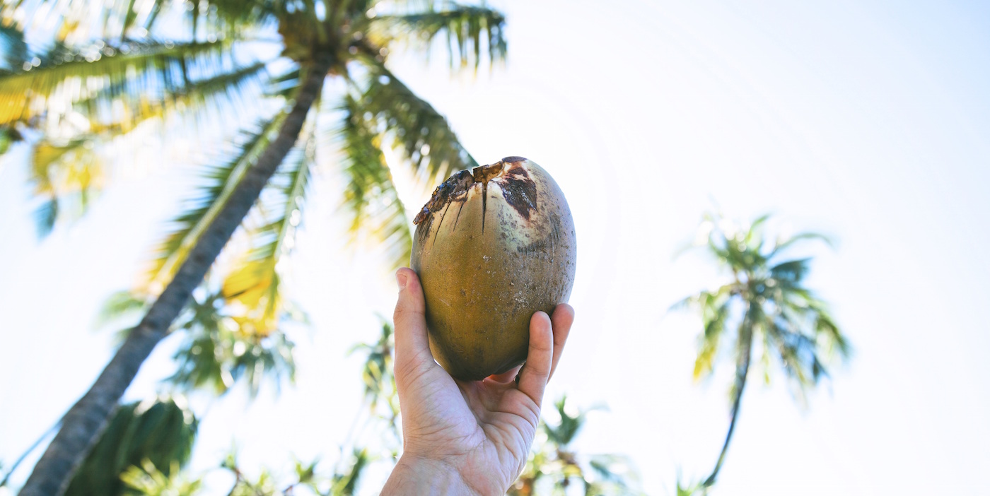 fiji eilanden eiland hoppen