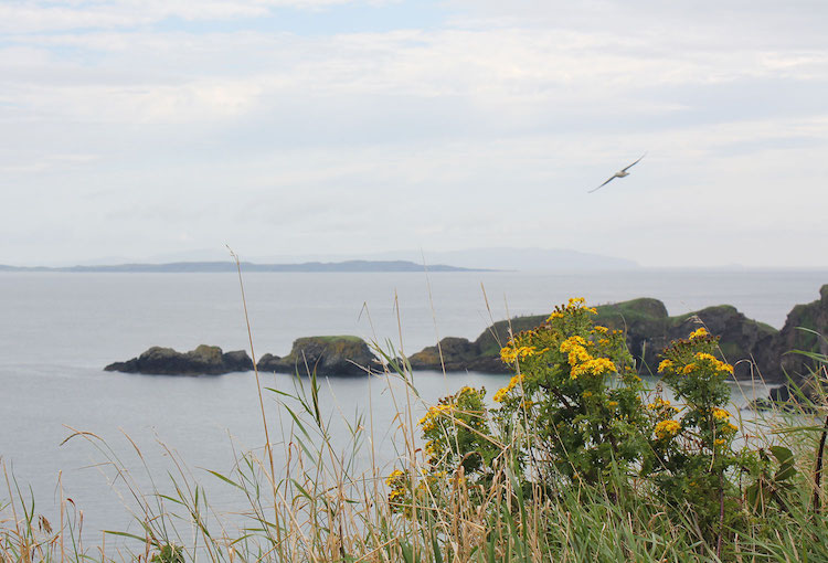 game of thrones ierland carrick-a-rede cliffs