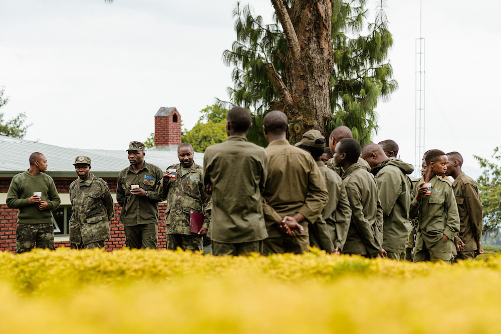 gidsen in rwanda tijdens gorilla spotten