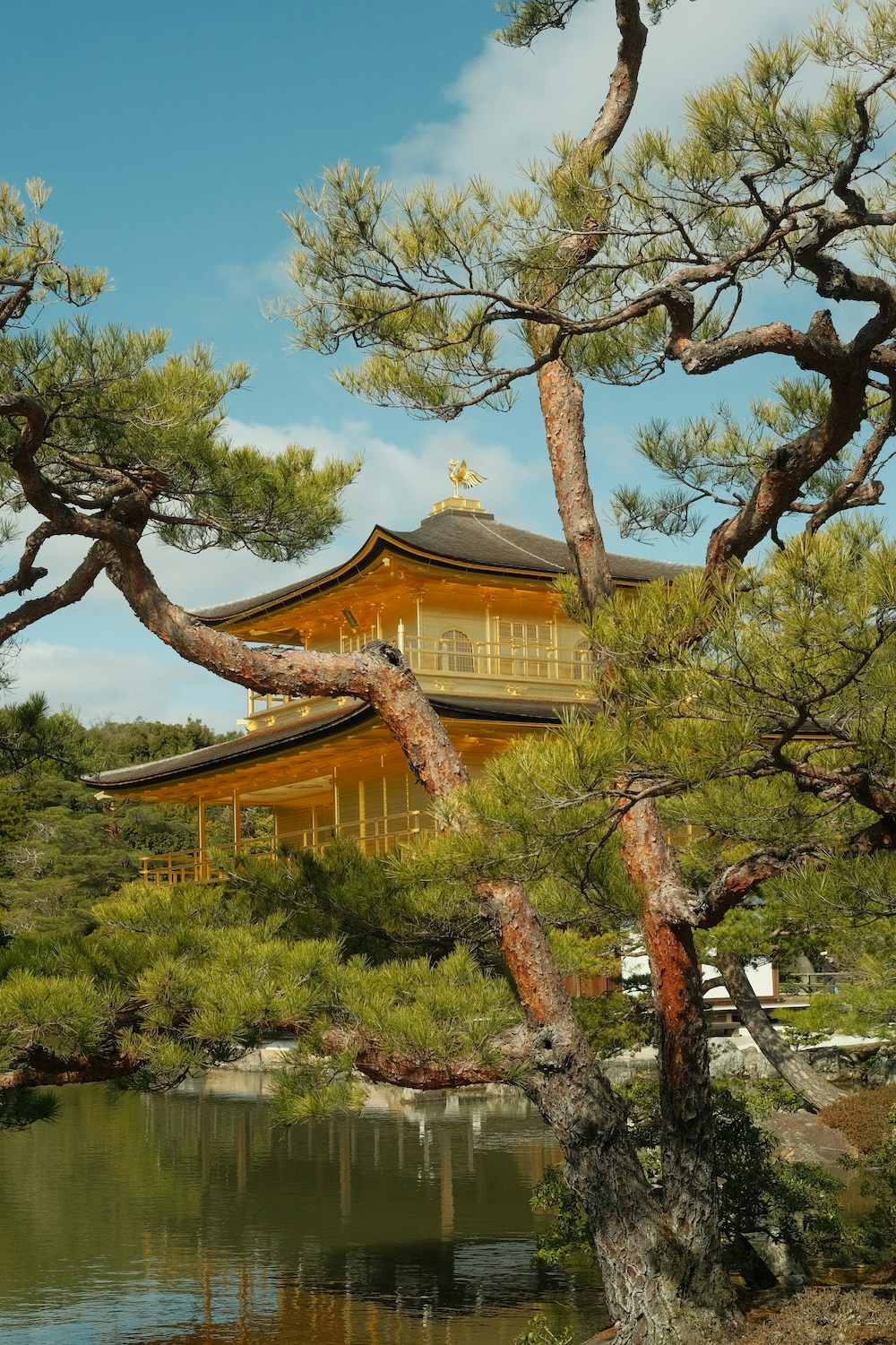 gouden tempel in kyoto Kinkaku-ji