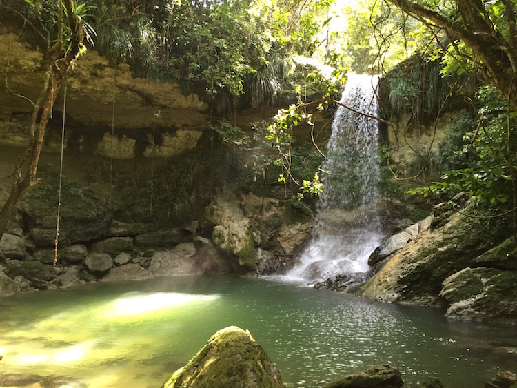 gozalandia upperfall puerto rico caribbean