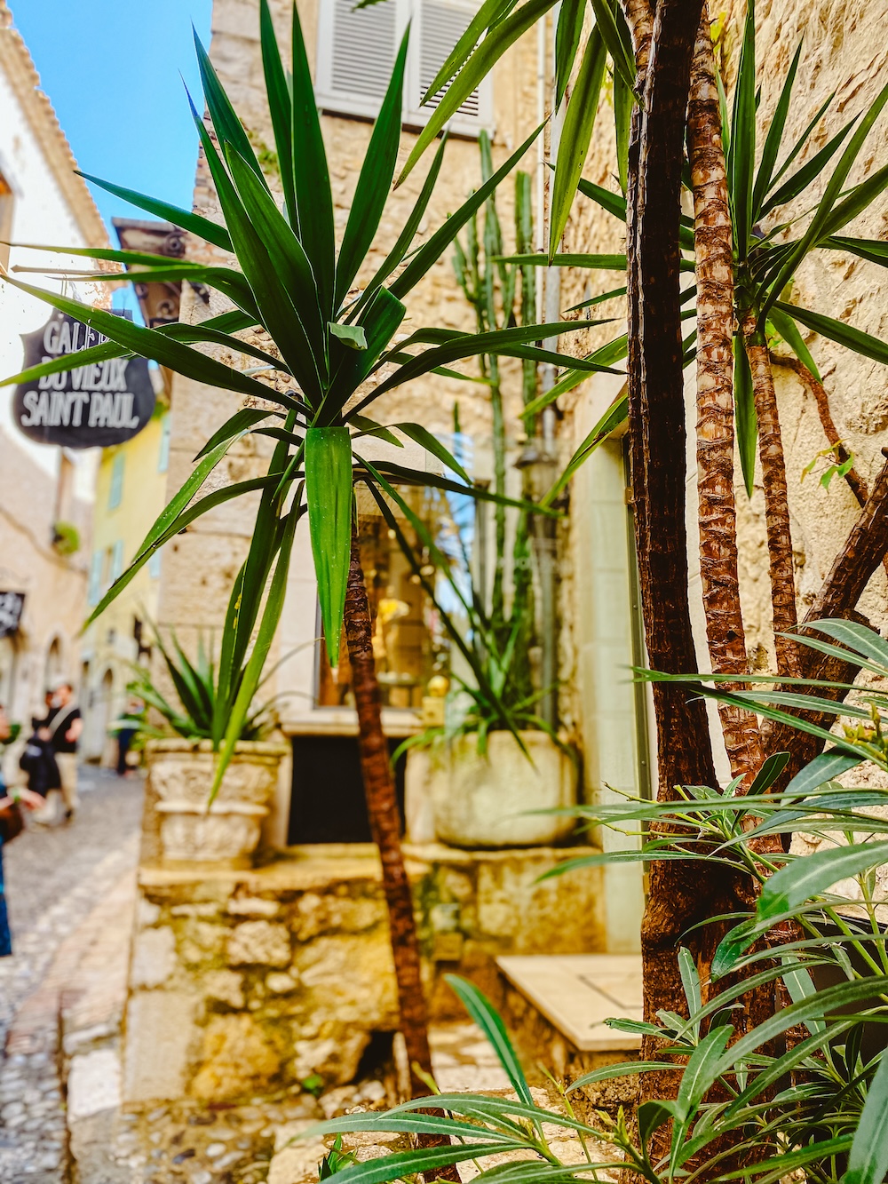 groene straat, Saint-Paul-de Vence