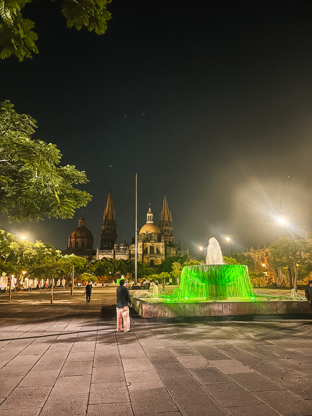 guadalajara by night