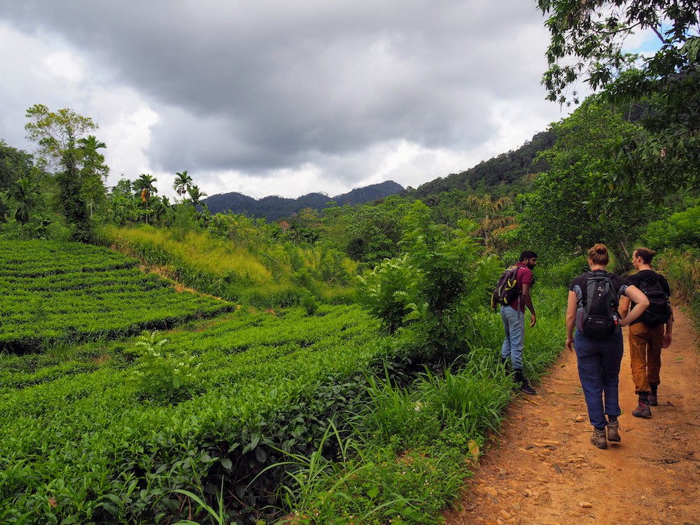 hidden places sri lanka Sinhraja wandeling