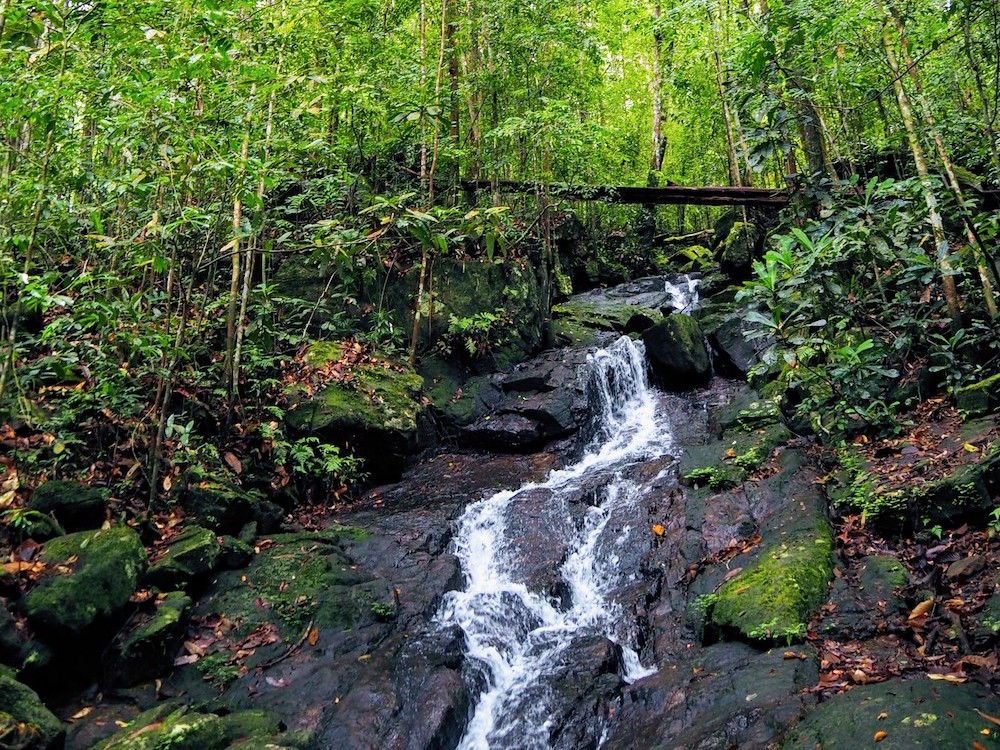 hidden places sri lanka Sinhraja waterval