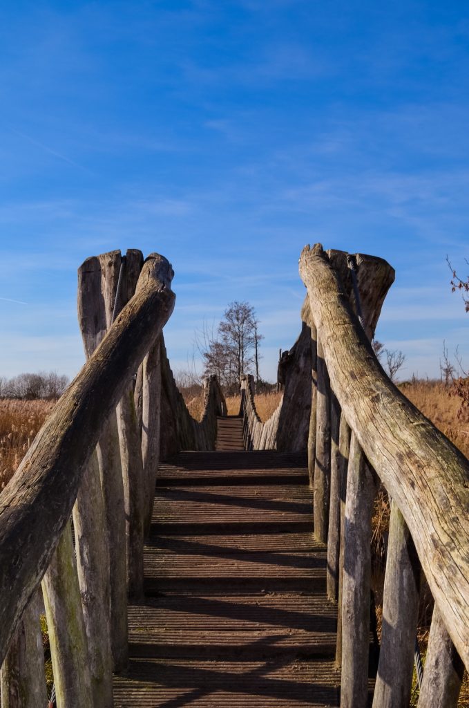 hike Het Hageven in belgisch limburg