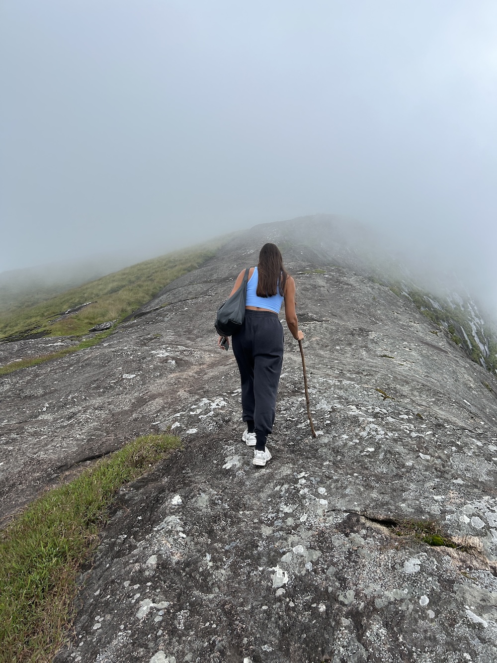 hike Munnar