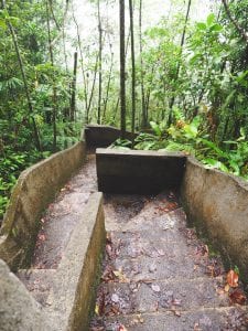 hike pad Catarata del Toro costa rica-2