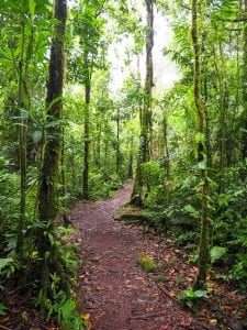 hike pad Catarata del Toro costa rica