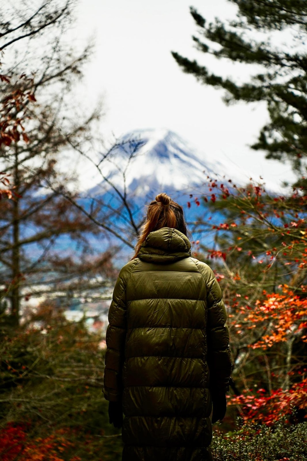 hiken Nationaal Park Fuji Hakone Izu