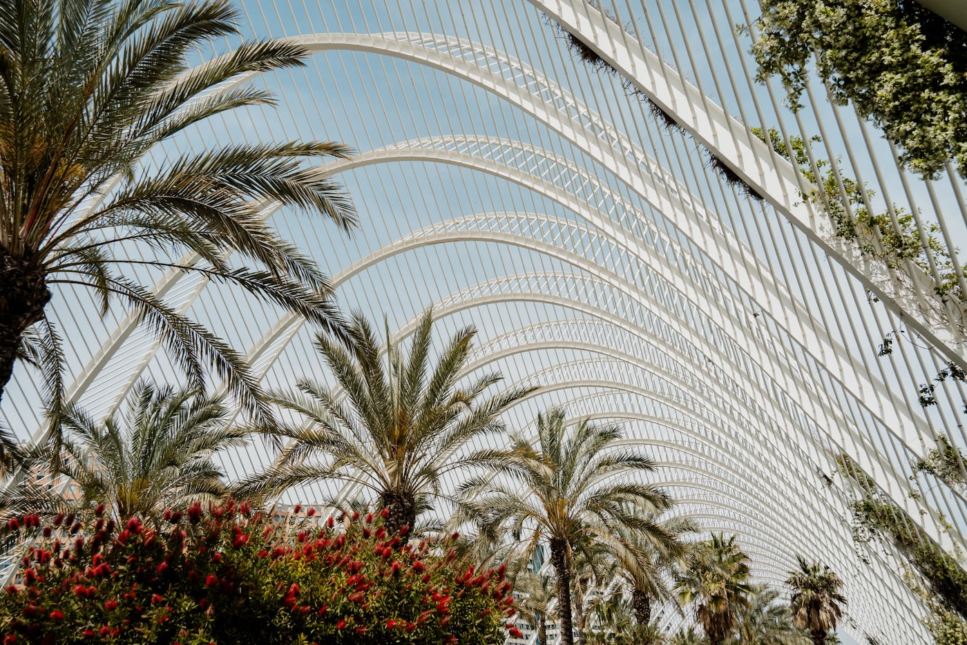 hoogtepunten Valencia, Umbracle