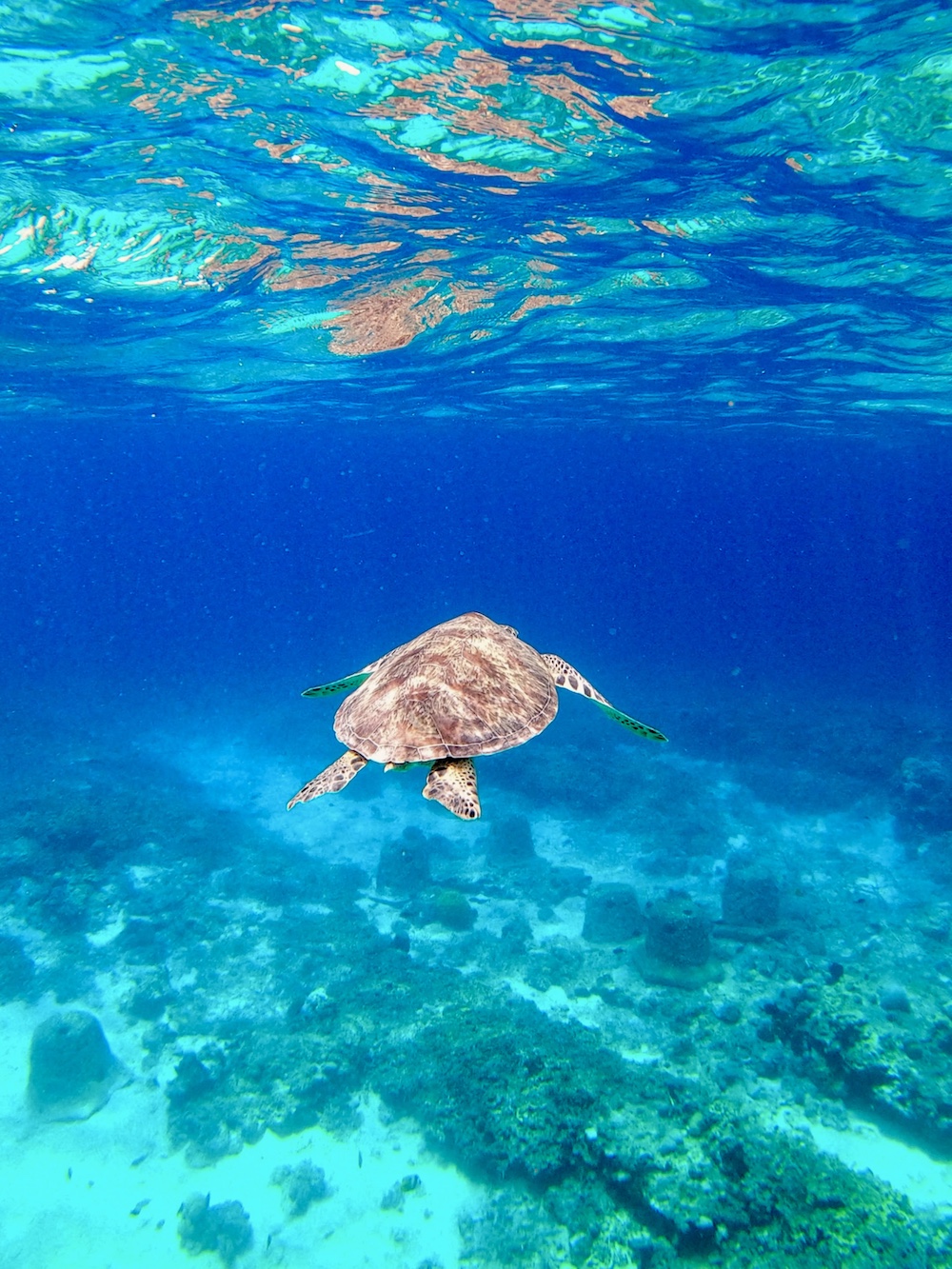 hoogtepunten van Bali, Gili eilanden