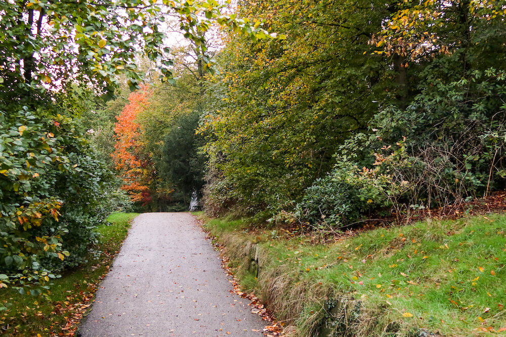 hotspots Arnhem Sonsbeek