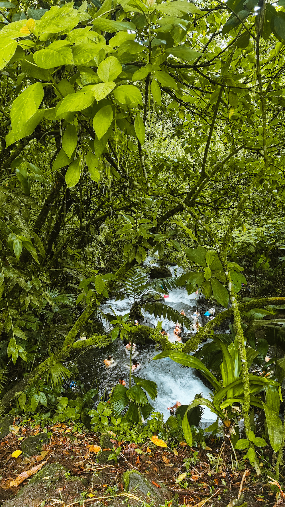 hotsprings La Fortuna