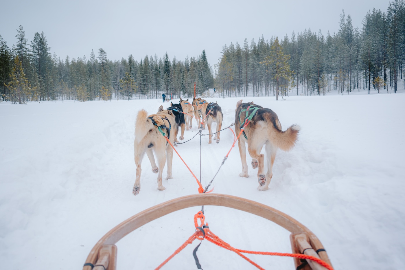 huskysledetocht Äkäslompolo