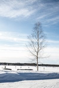 ijs landschap lapland