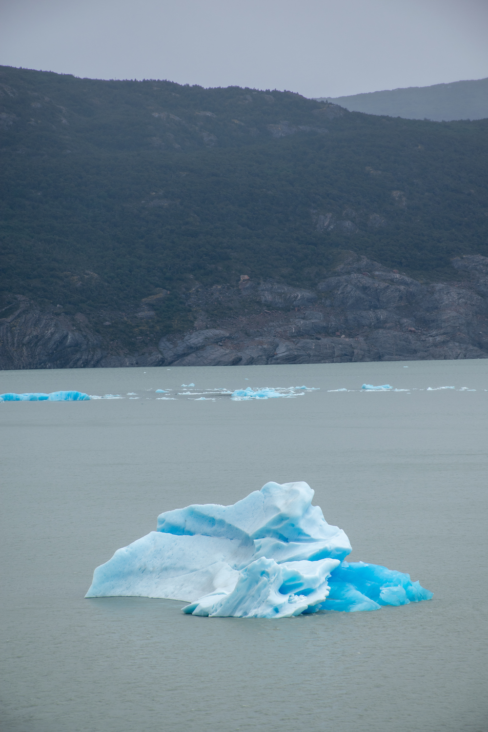 ijsschots torres del paine