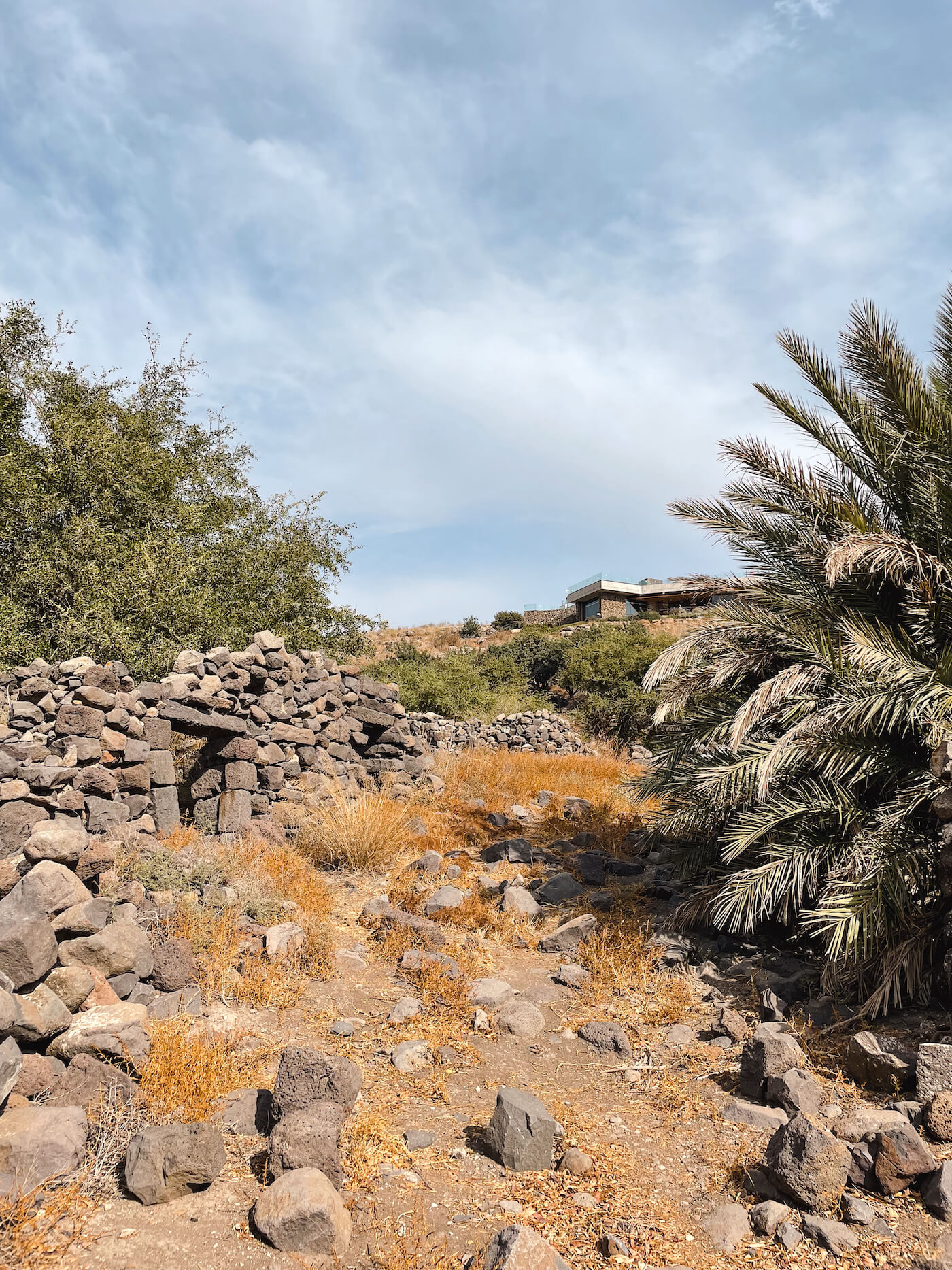 israel Ruines Natuur