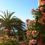 Jardin Villa Ephrussi de Rothschild