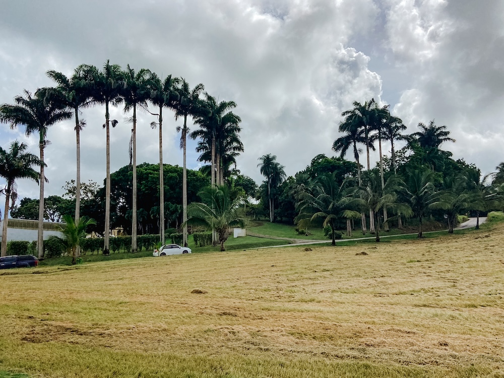 jeep safari in barbados