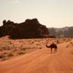 jordanie wadi rum