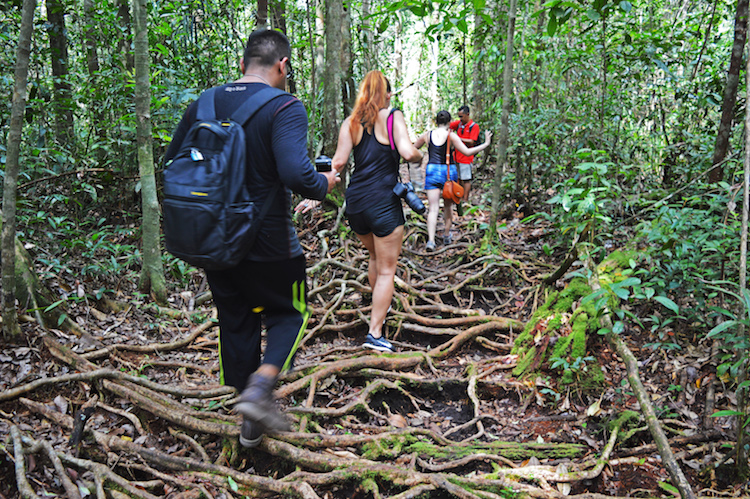 Op Jungle Expeditie in Borneo? | Tips! | We Are Travellers