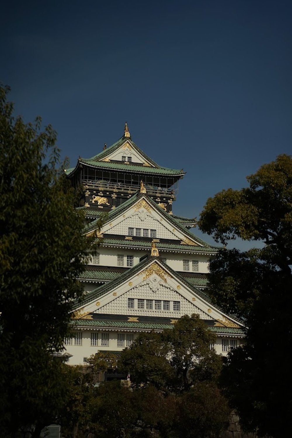 kasteel van osaka