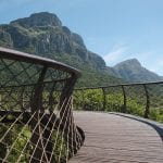 kirstenbosch loopbrug canopy walk