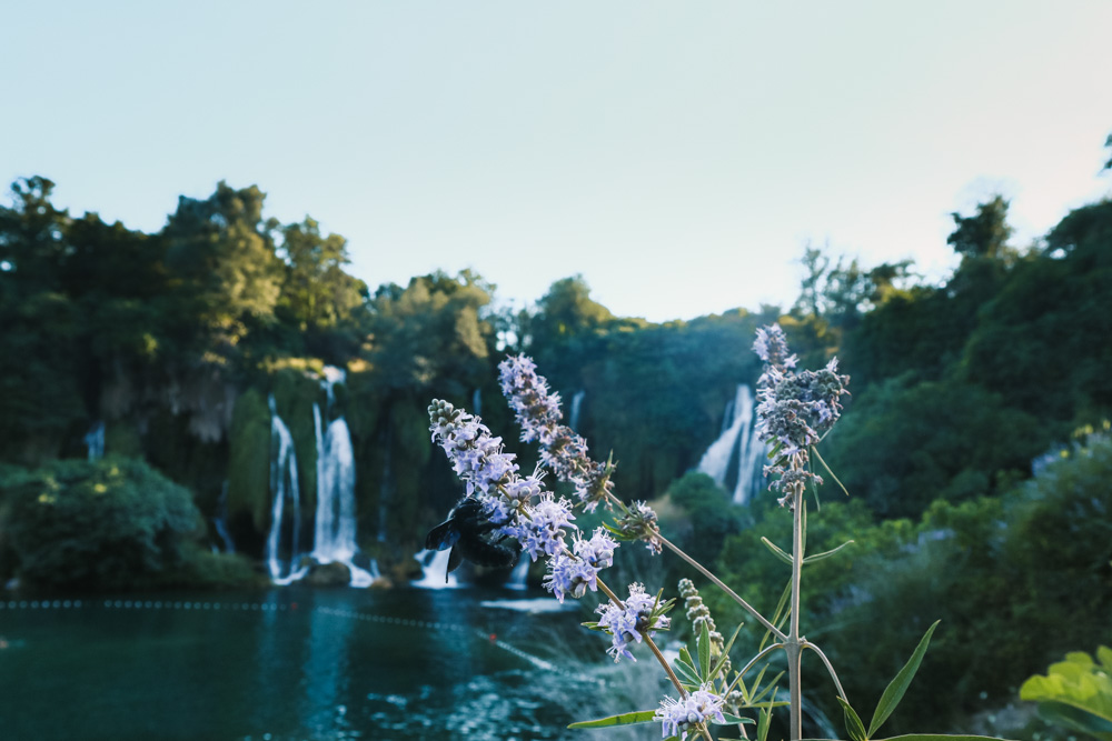 kravica bosnie