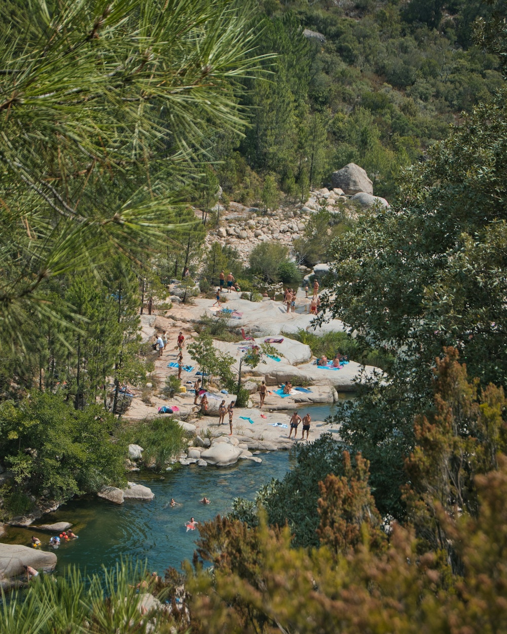 landschap corsica