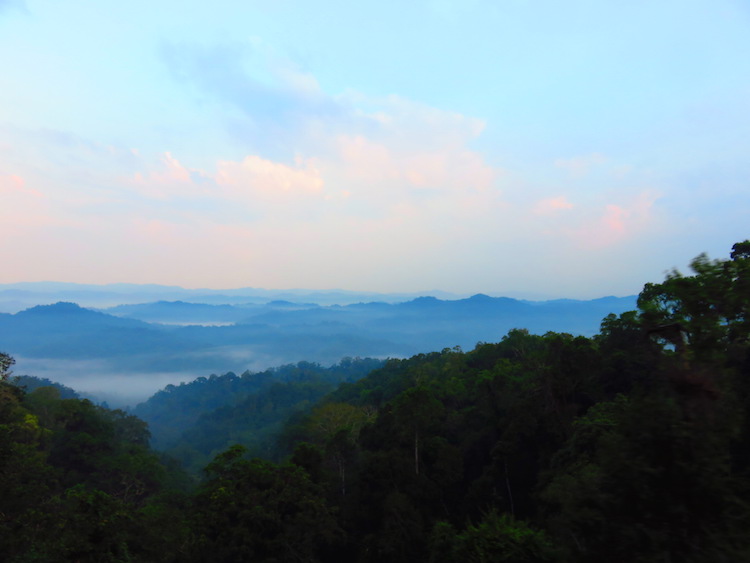 laos Gibbon Experience bergen