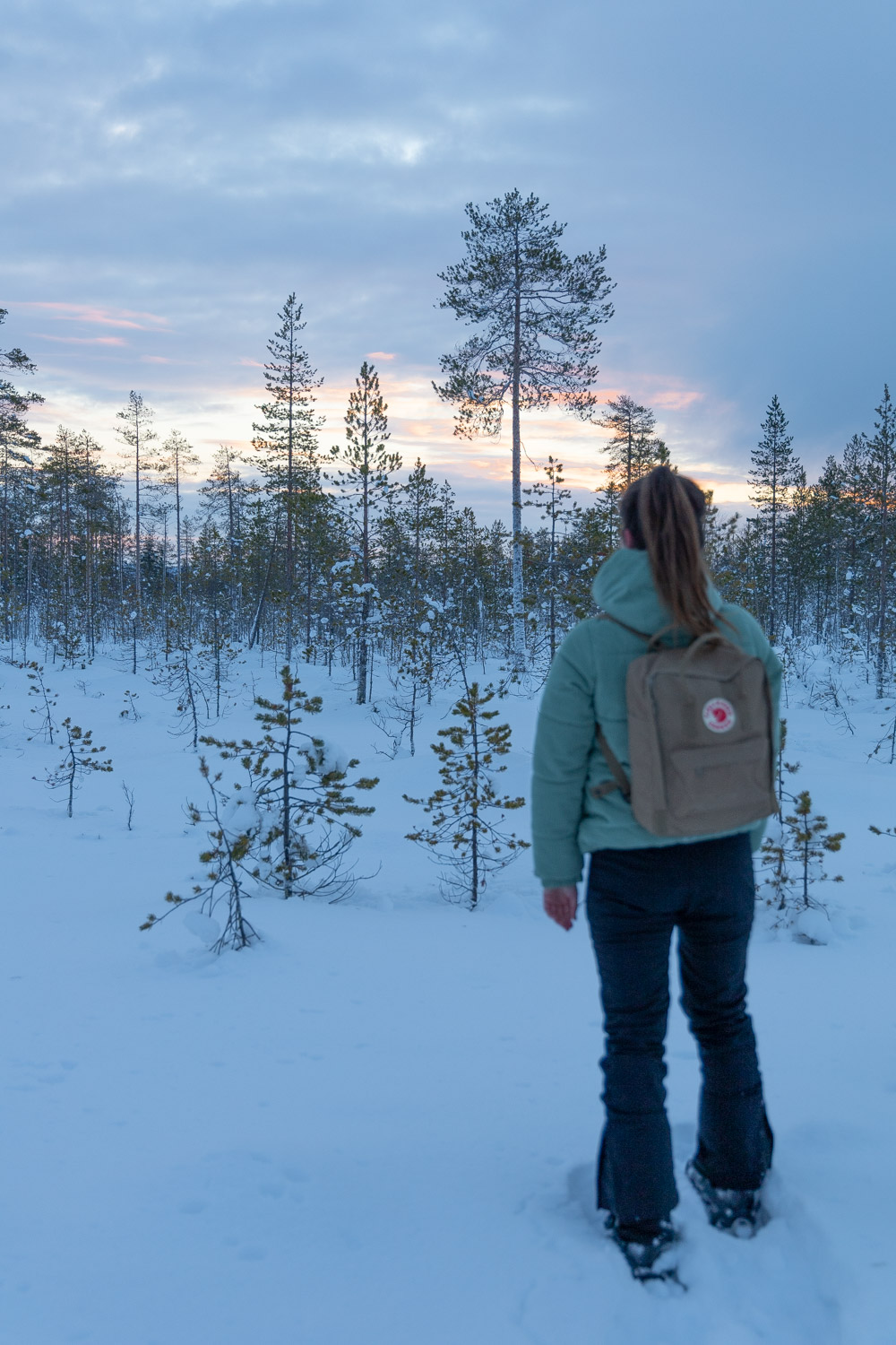 lapland activiteiten sneeuwschoenwandeling