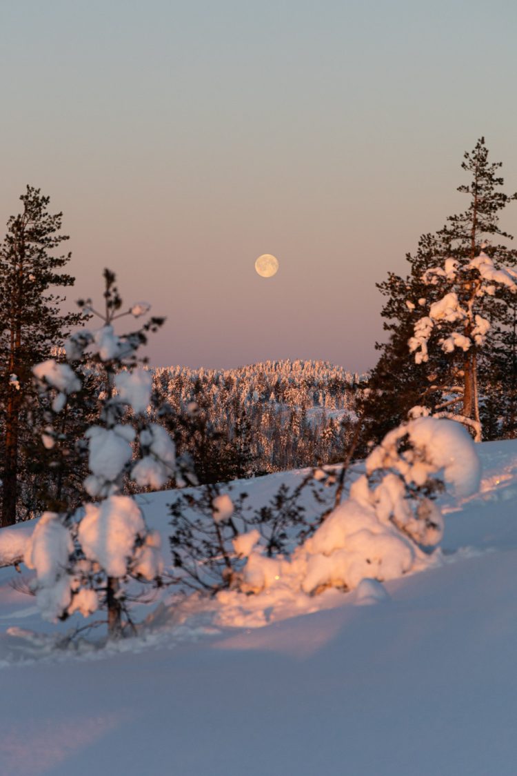 lapland maan