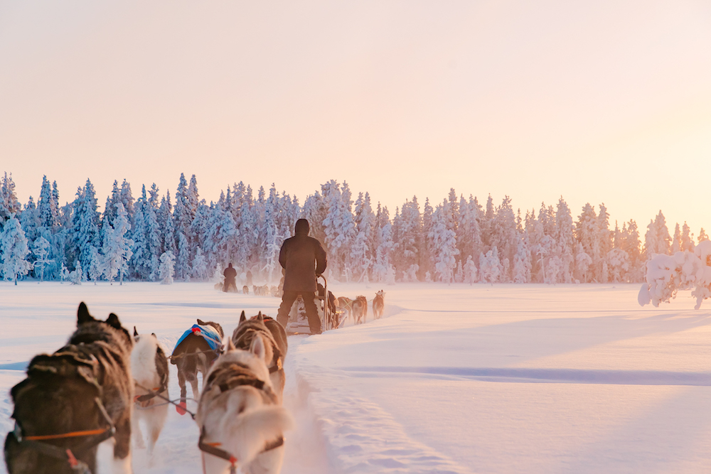 lapland travel tripje sneeuw