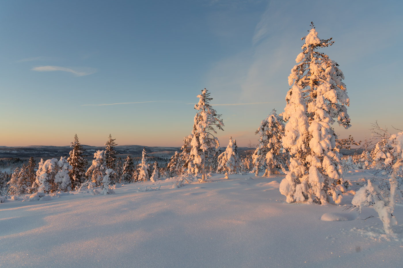 lapland winter landschap