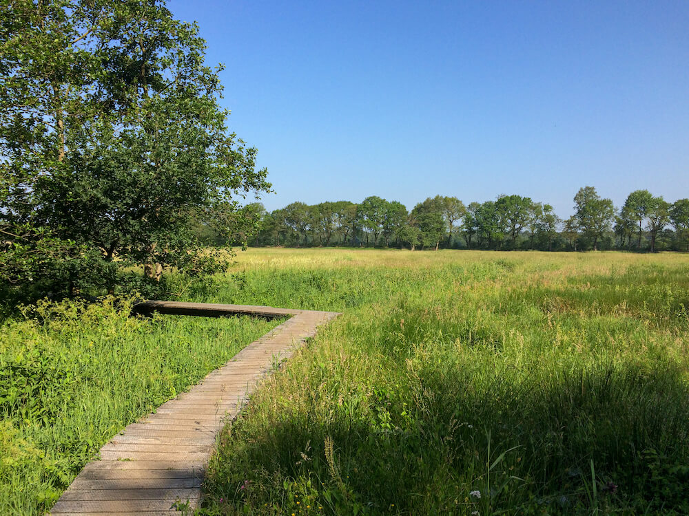 meerdaagse wandeltocht nederland PieterPad