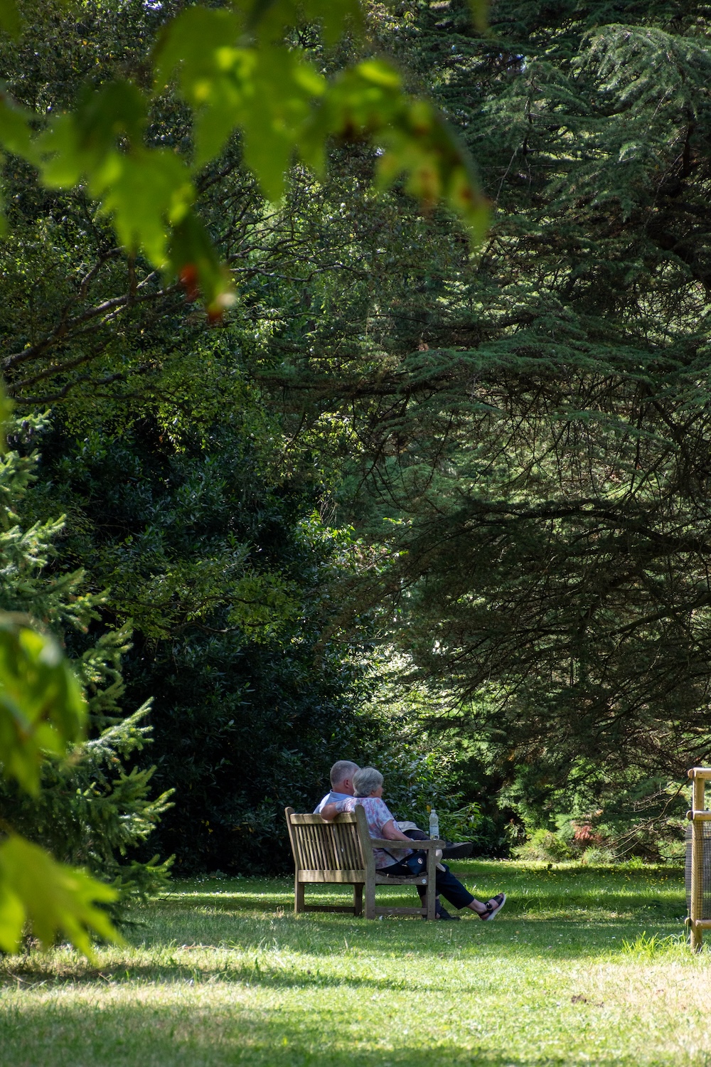 mensen in Botanische tuin