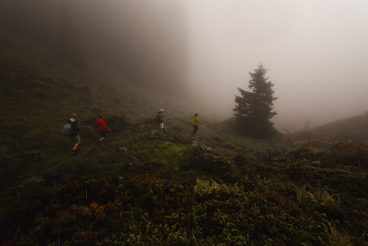 mist bos montafon wandelen