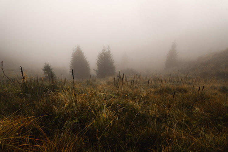 mist in montafon wandelen