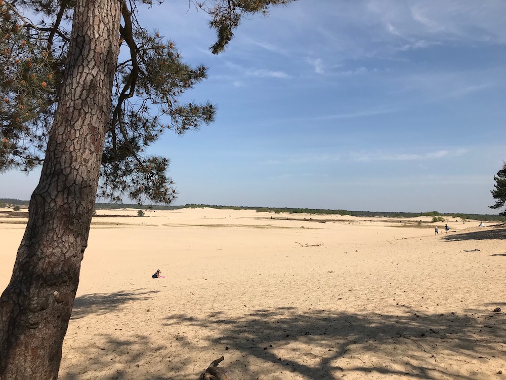 mooiste plekken in nederland Loonse en Drunense Duinen overzicht