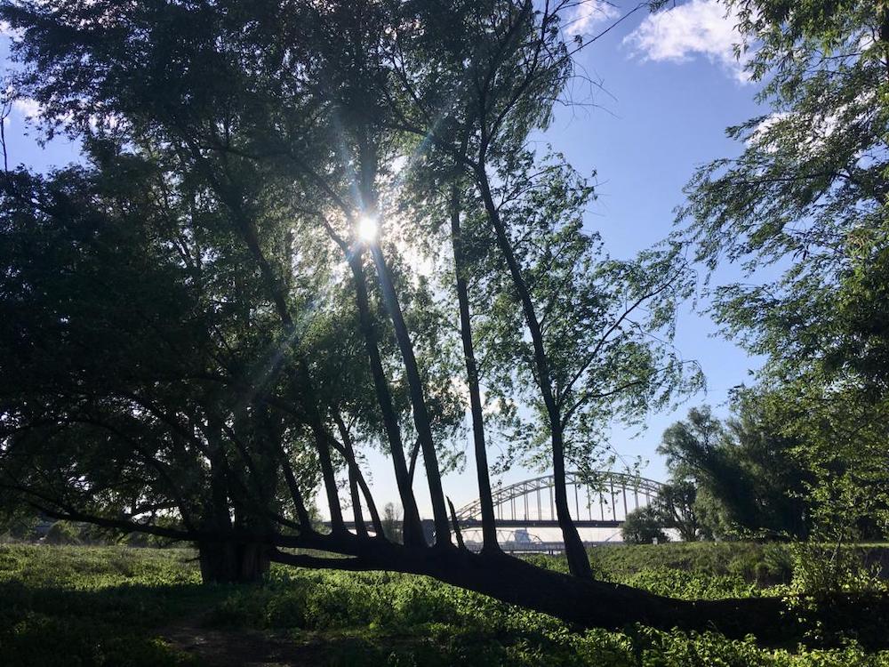 mooiste plekken nederland Nijmegen vanuit de Ooijpolder