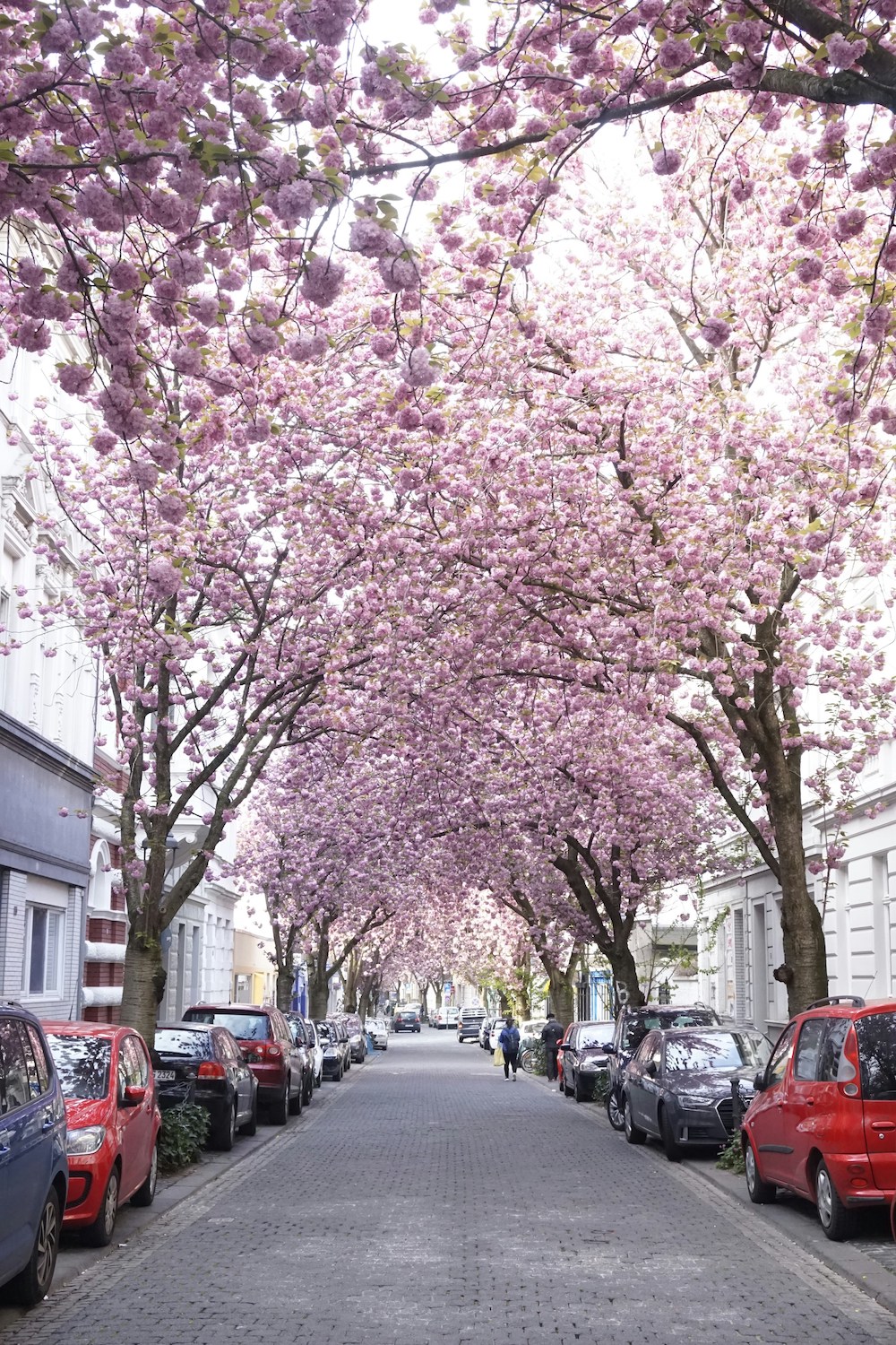 mooiste steden duitsland bonn