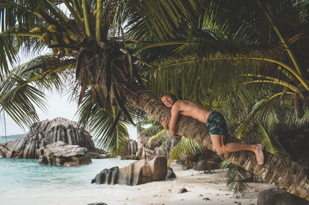 mooiste stranden la digue seychellen palmboom klimmen