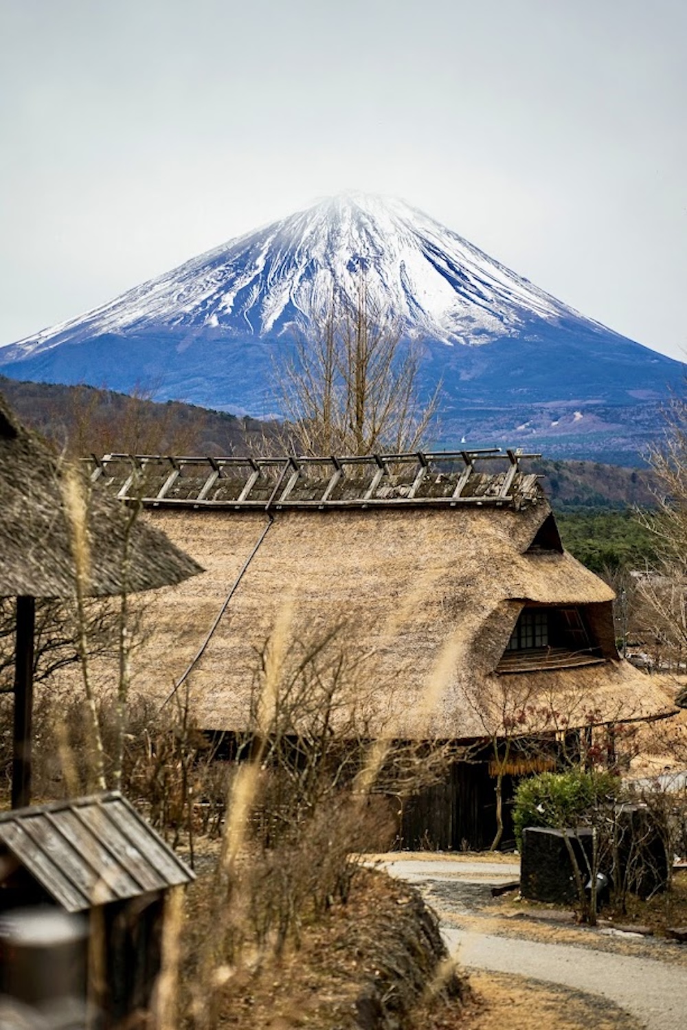 mount fuji Iyashi no Sato