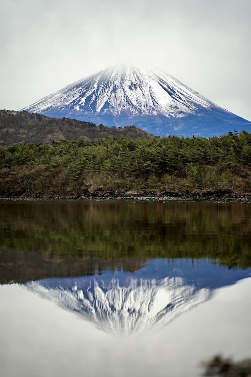 mount fuji view