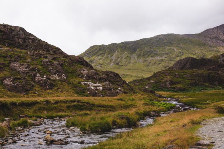 mount snowdon