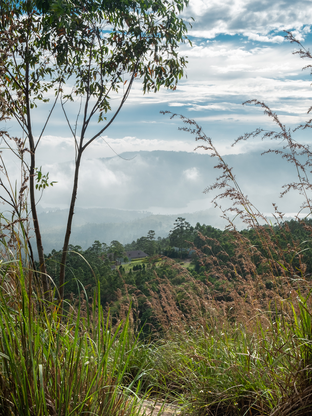 munnar zuid india kerala viewpoint